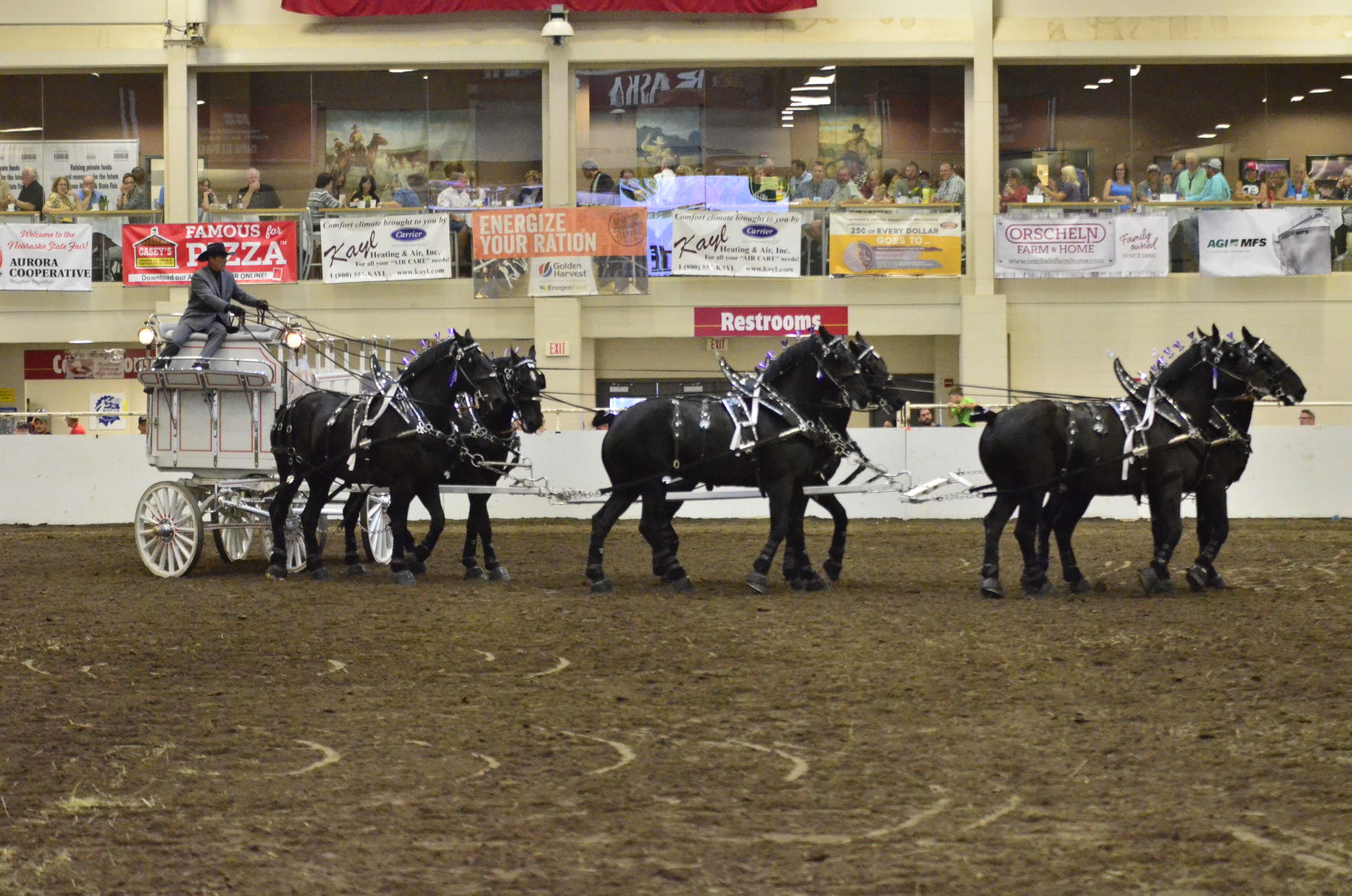 8-25-19 Draft Horse Hitch Final (88).JPG